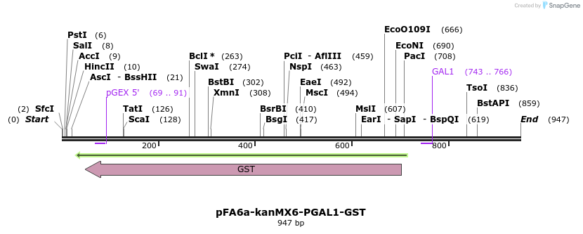 56494_map
