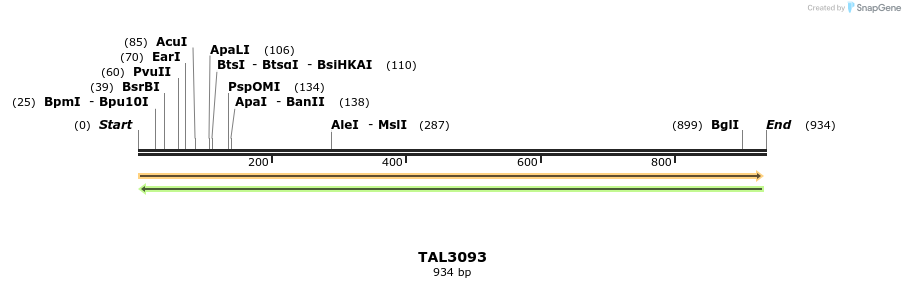 56499_map