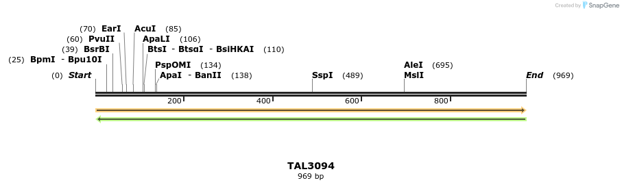 56501_map