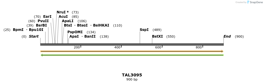 56502_map