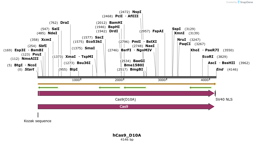 56504_map