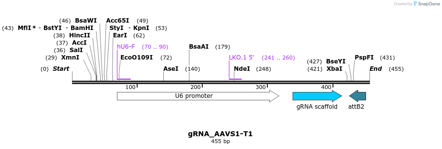 56505_map