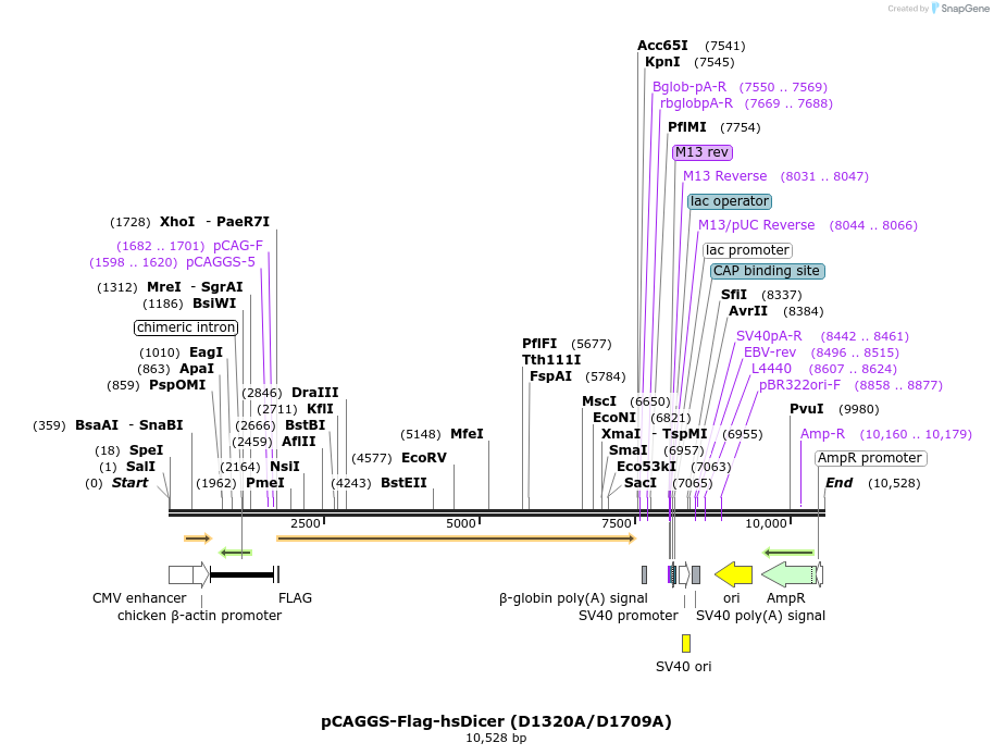 56509_map