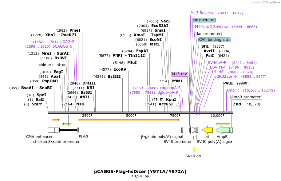 56514_map