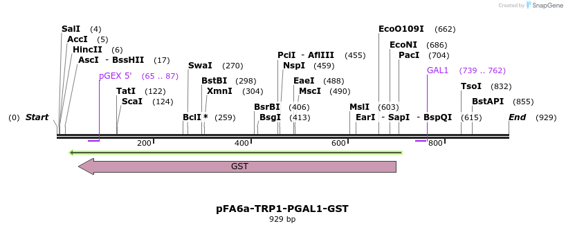 56519_map