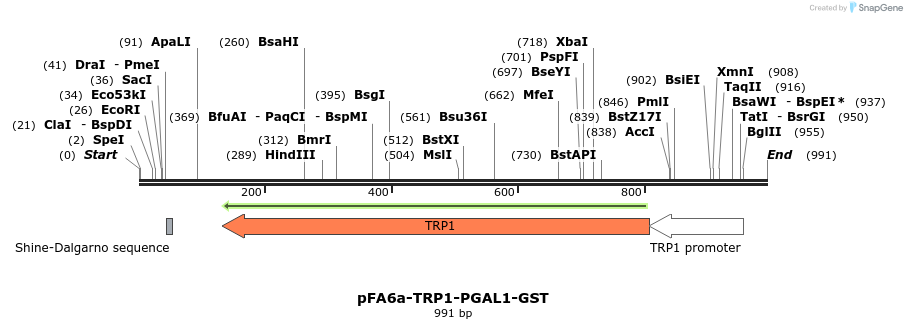 56520_map