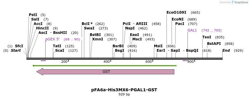 56522_map