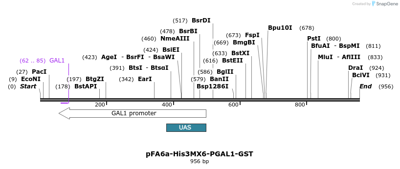 56525_map