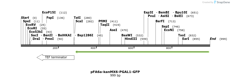 56528_map
