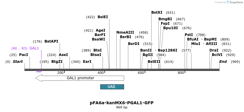 56529_map