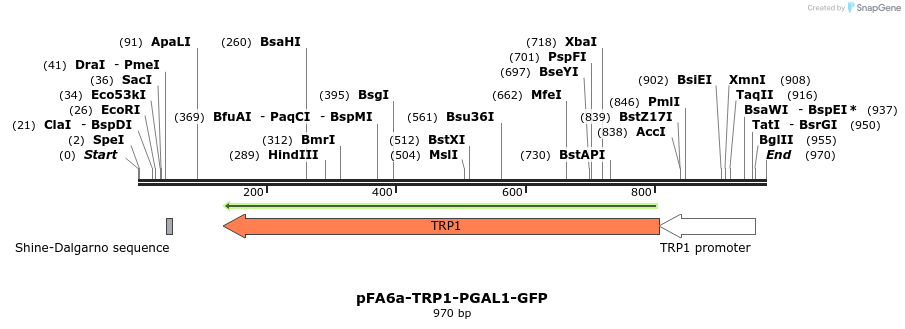 56531_map
