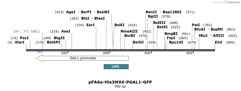 56535_map