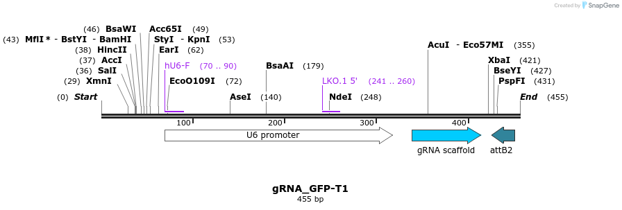 56536_map
