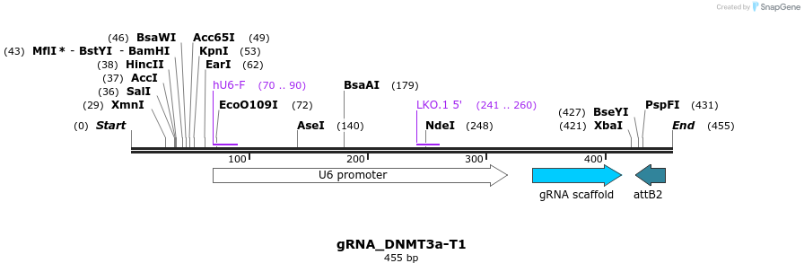56538_map