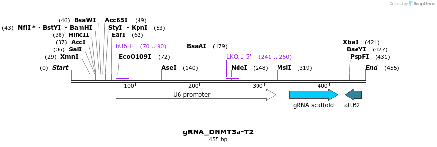56539_map