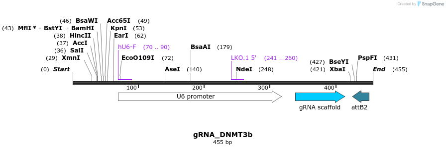56540_map