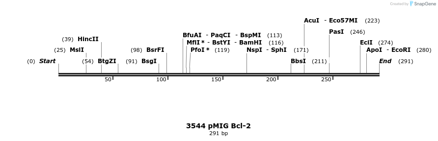 56548_map