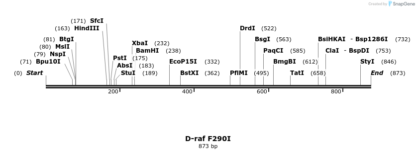 56551_map