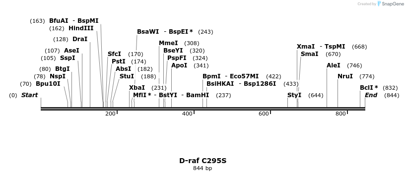 56552_map