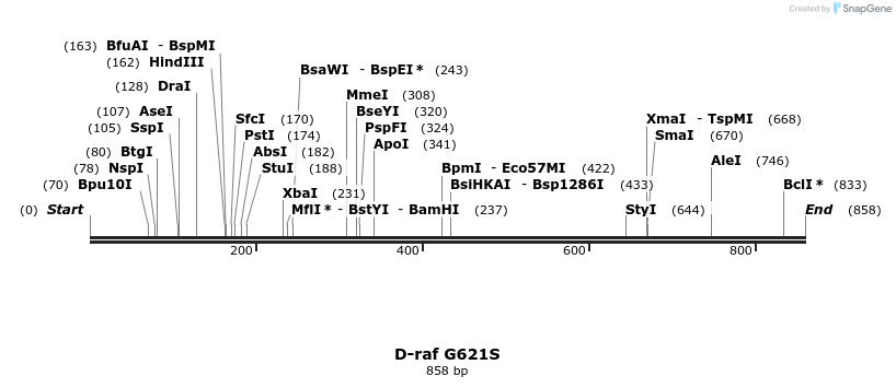 56553_map