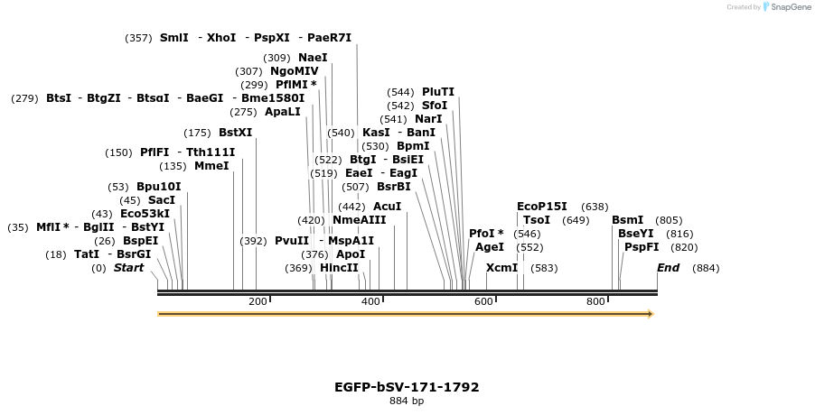56561_map