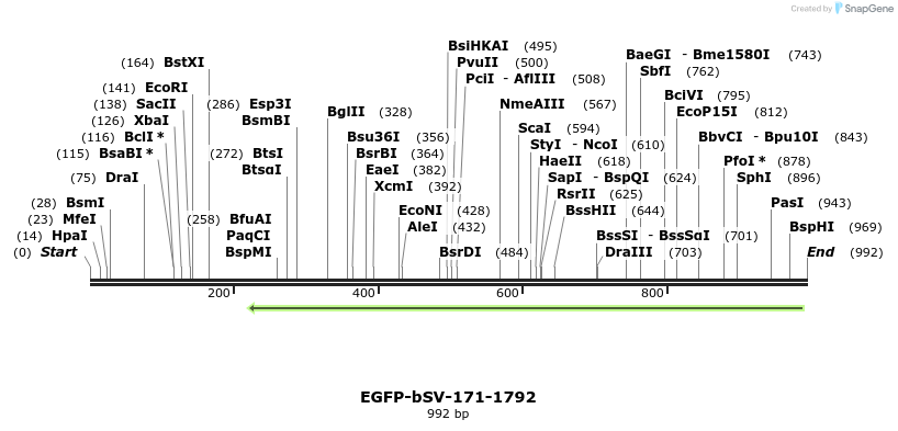 56563_map