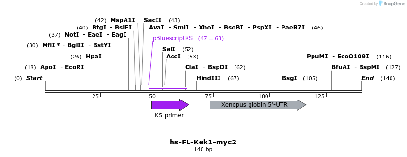 56564_map
