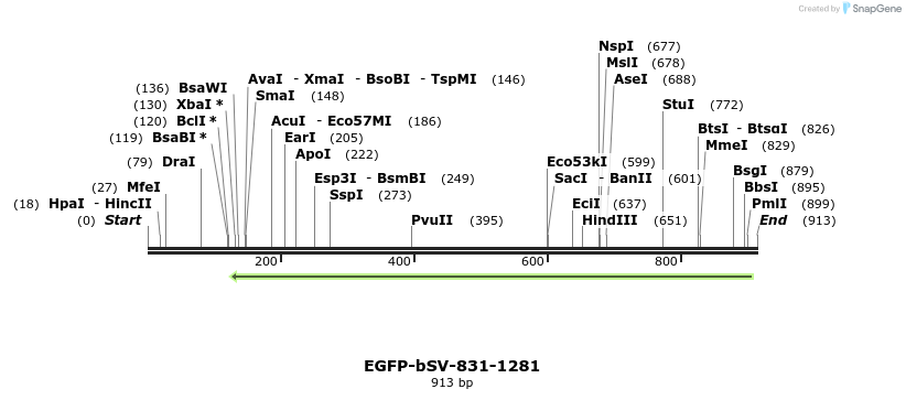 56566_map
