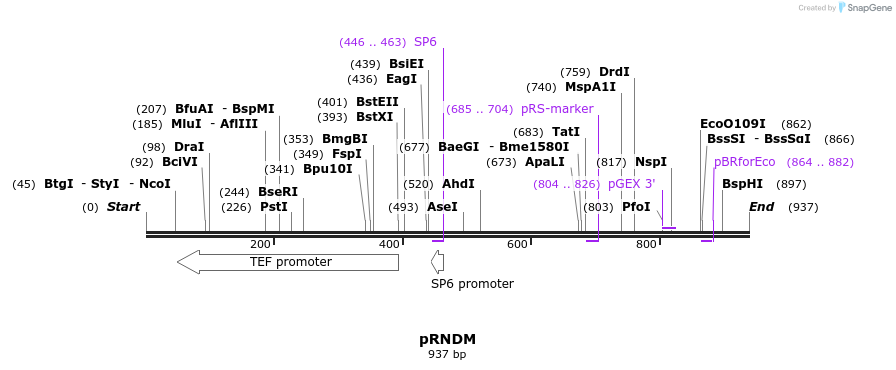 56571_map
