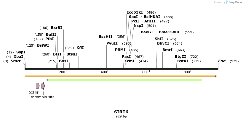 56574_map