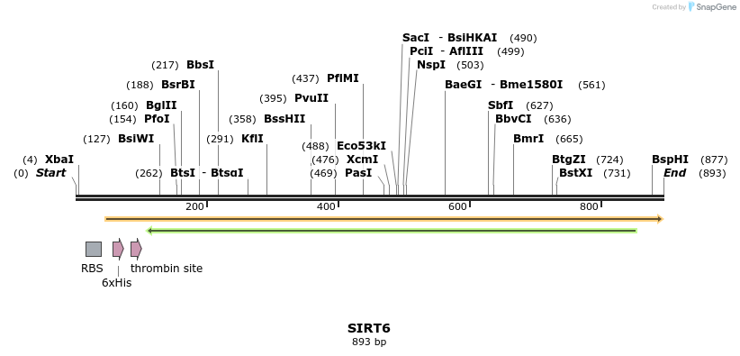56577_map