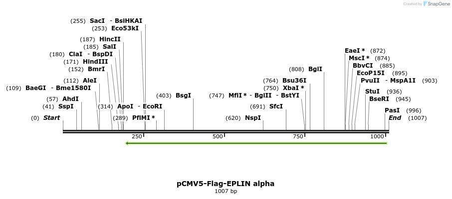 56578_map
