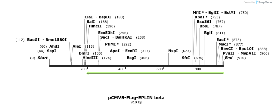 56579_map