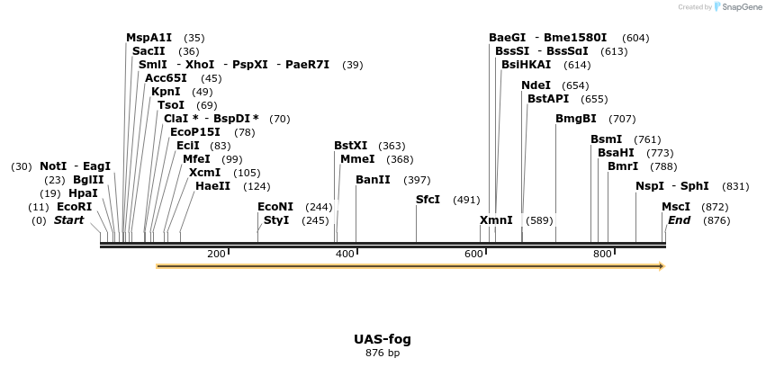 56581_map