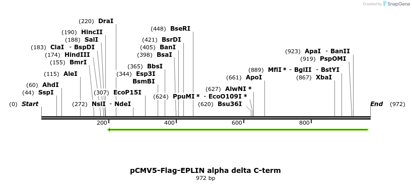 56582_map
