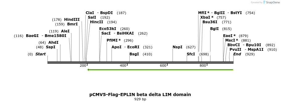 56585_map