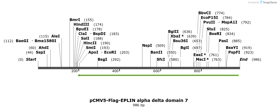 56587_map