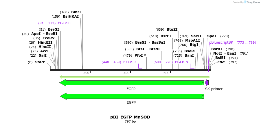 56593_map