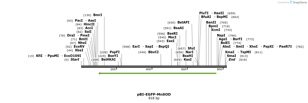 56594_map