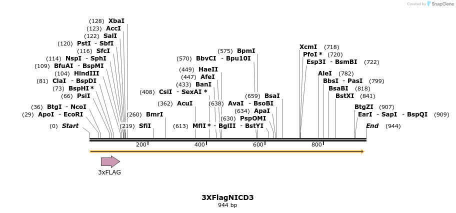 56610_map