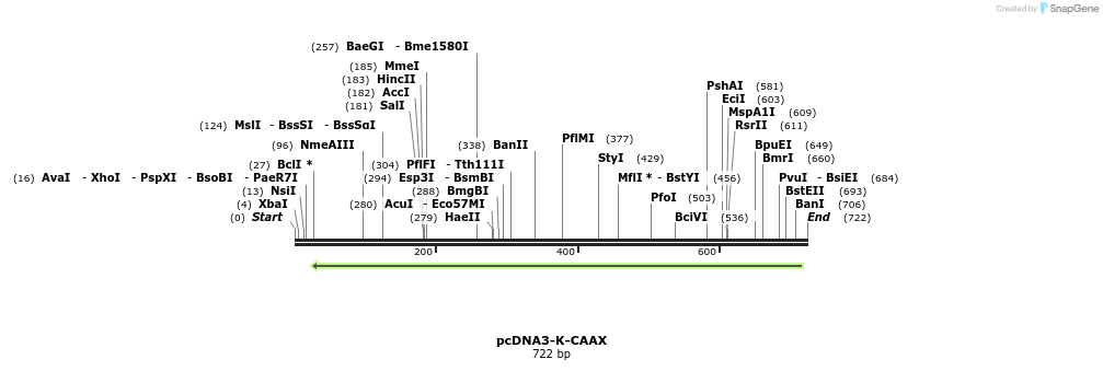 56611_map