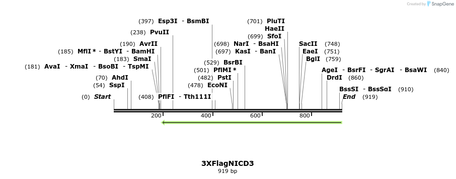 56612_map