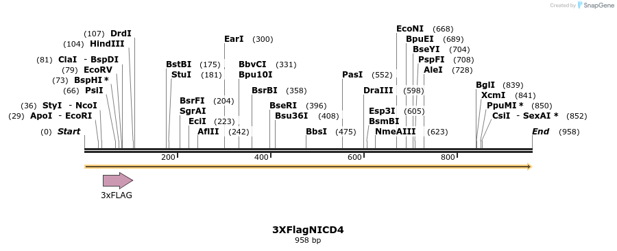 56615_map