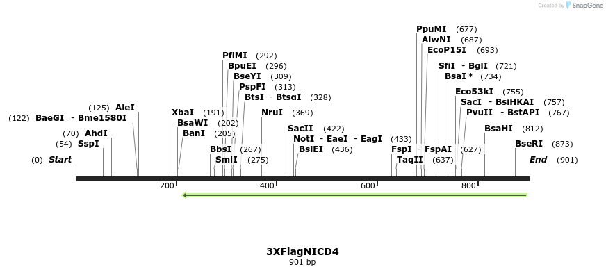 56616_map