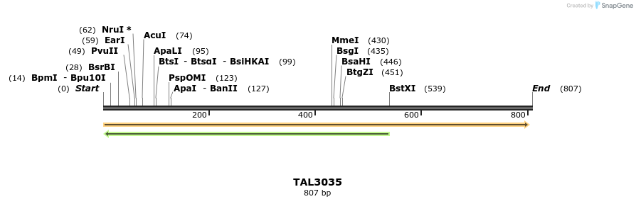 56623_map