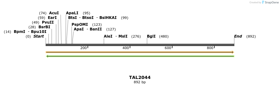 56625_map