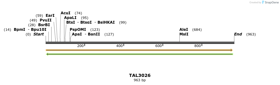 56630_map
