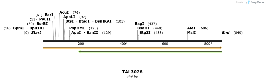 56631_map