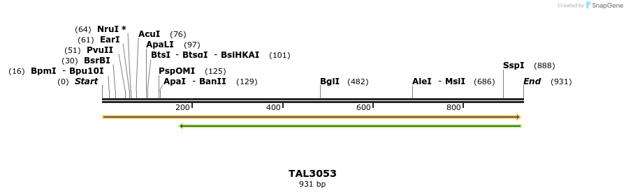 56634_map