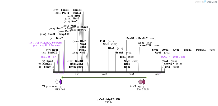 56640_map